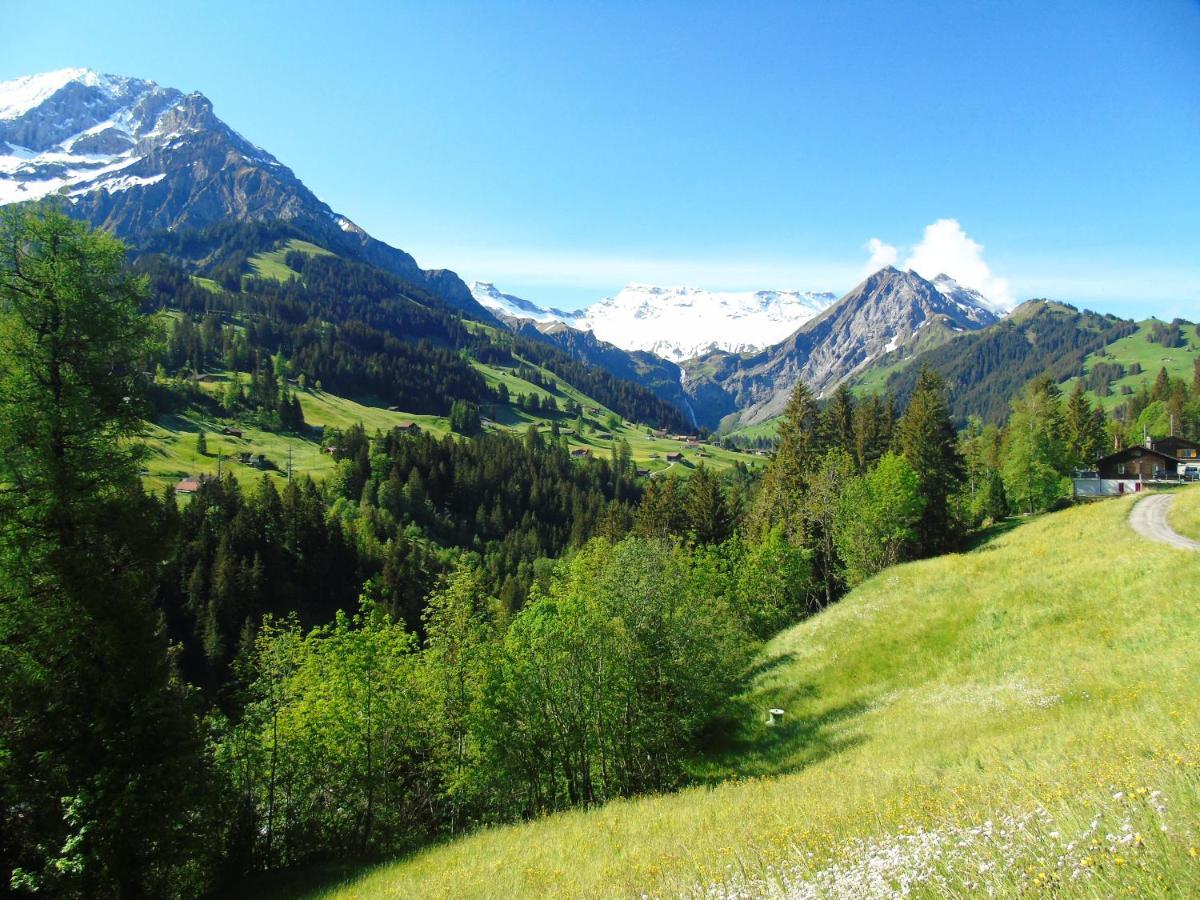 Appartment Andrea Adelboden Luaran gambar