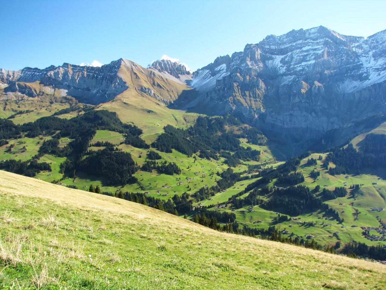 Appartment Andrea Adelboden Luaran gambar