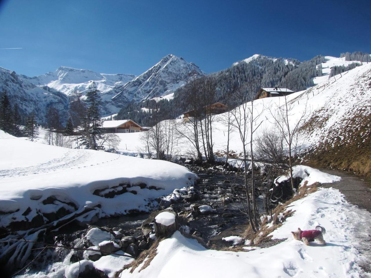 Appartment Andrea Adelboden Luaran gambar
