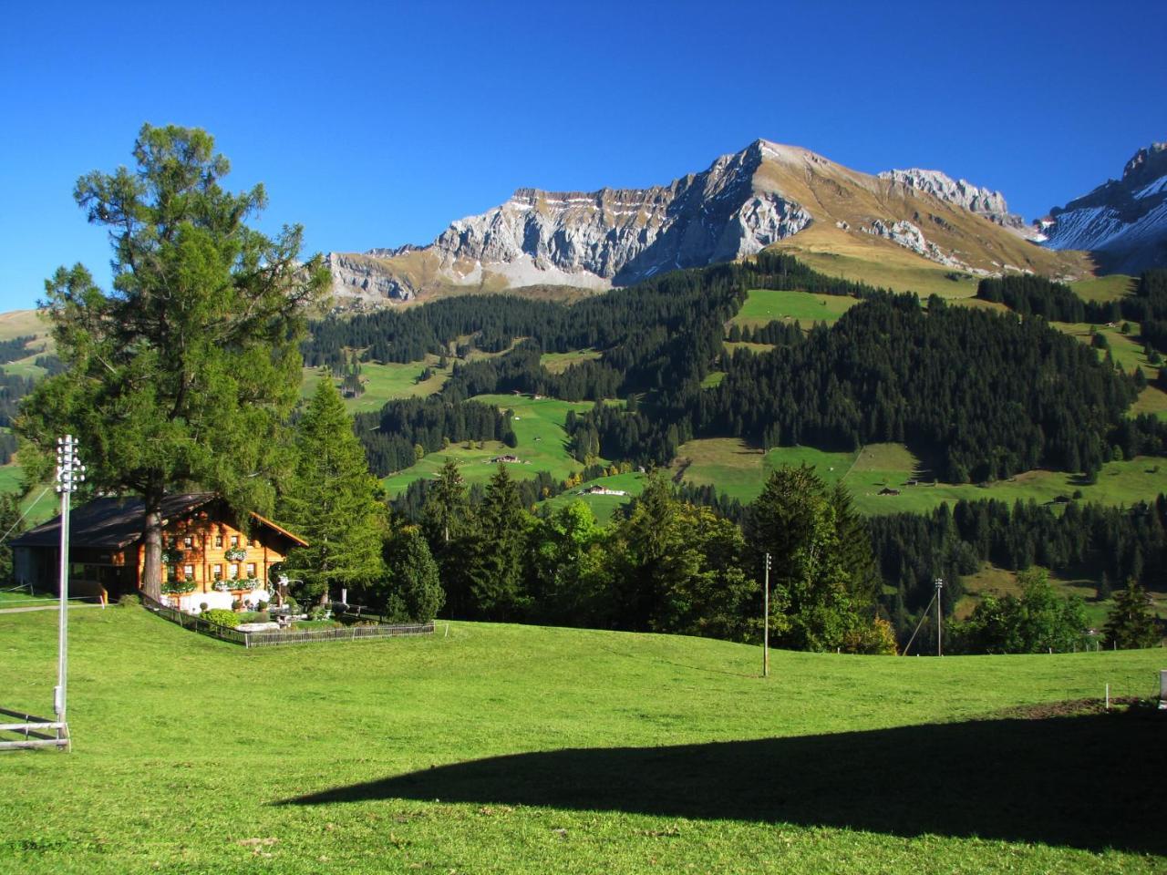 Appartment Andrea Adelboden Luaran gambar
