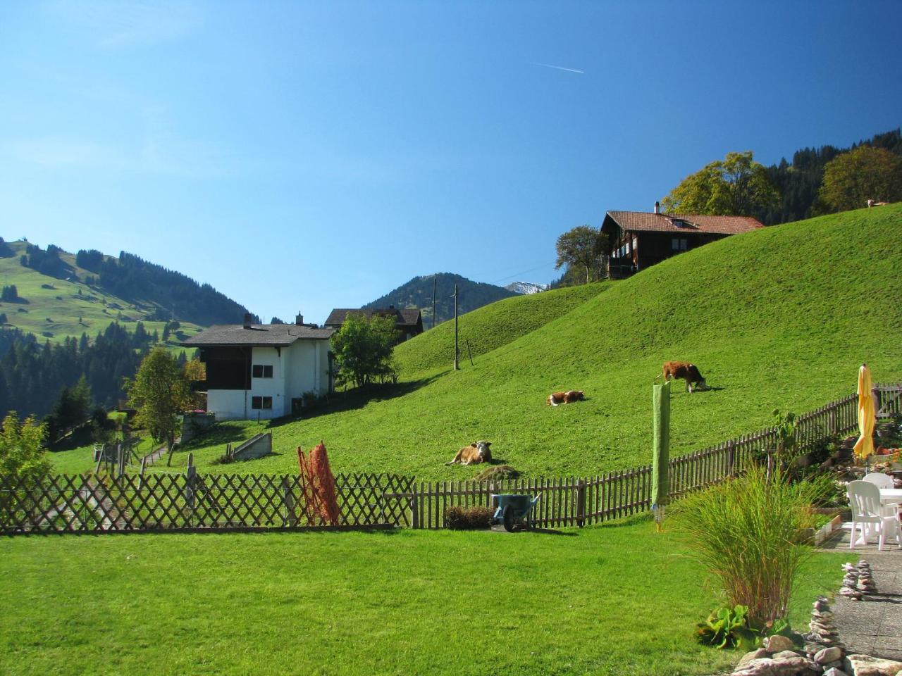 Appartment Andrea Adelboden Luaran gambar