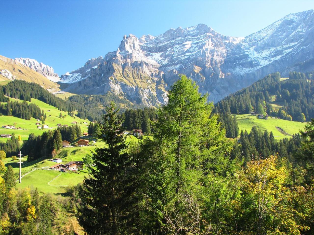Appartment Andrea Adelboden Luaran gambar