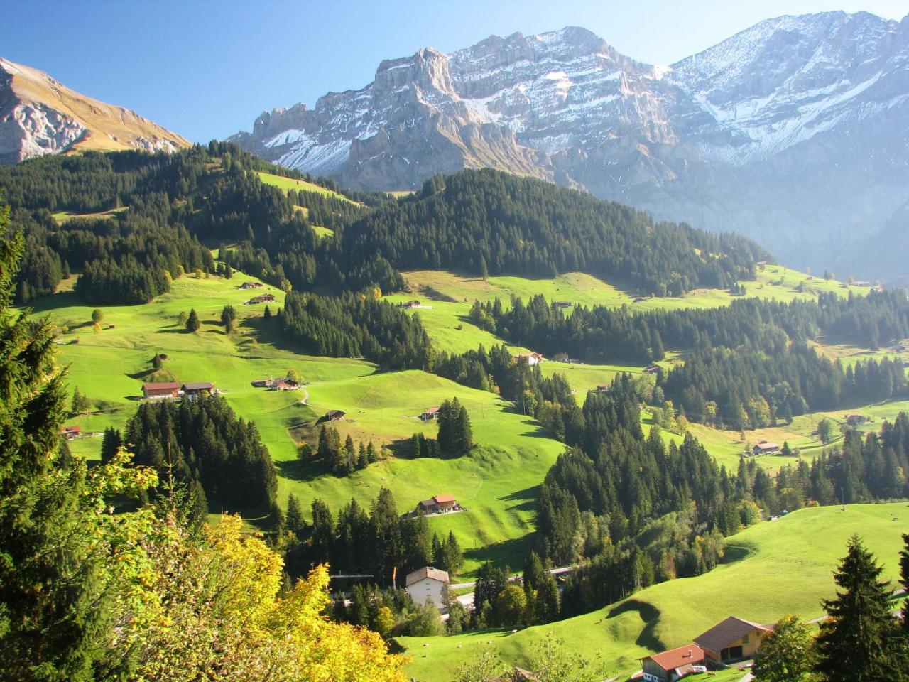 Appartment Andrea Adelboden Luaran gambar